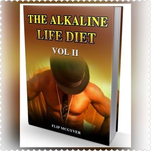 THE ALKALINE LIFE DIET VOL 2 PAPERBACK BOOK